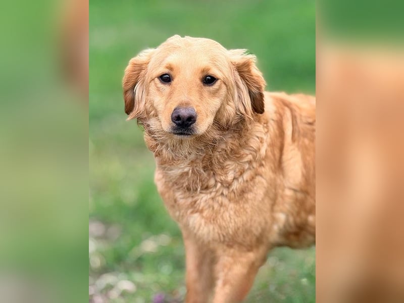 TIANA - ich freue mich auf viele glückliche Stunden mit meinen Menschen!