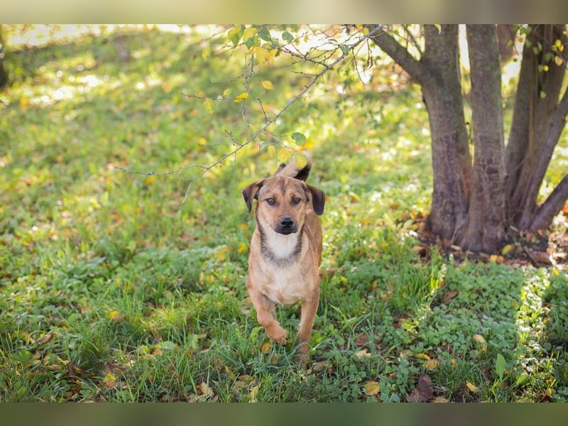 RIEKE - welche liebe Familie schenkt mir ihr Herz und ein Zuhause?