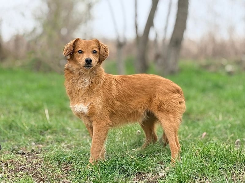 JOHN - ich liebe die Nähe zu Menschen und freue mich auf gemeinsame Abenteuer!