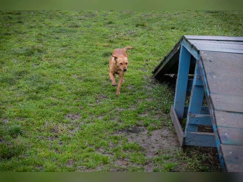 SABRINA - ich bin bereit für meine Menschen!