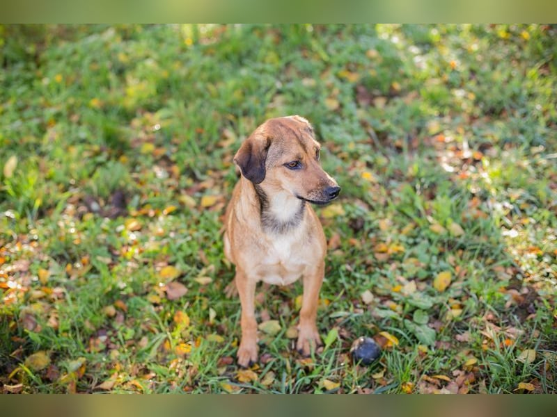 RIEKE - welche liebe Familie schenkt mir ihr Herz und ein Zuhause?