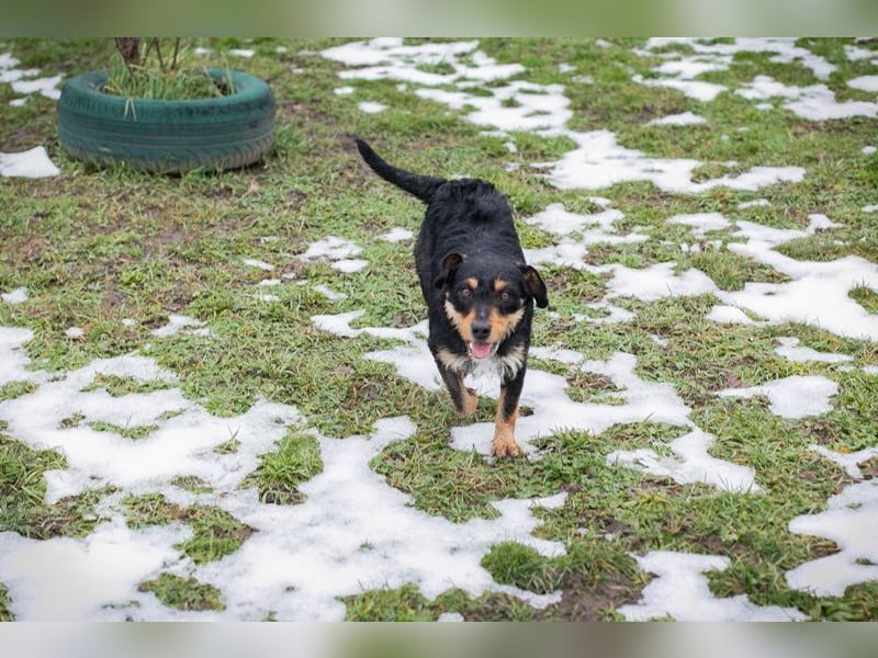 JETTE - schenkst DU mir dein Herz und ein tolles Zuhause?