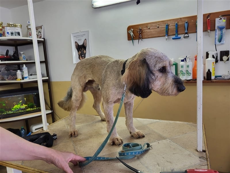 Strubbel - Ankommen und wohl fühlen, wer erfüllt mir diesen Traum