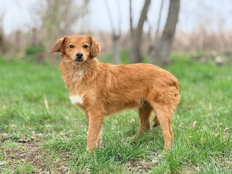 JOHN - ich liebe die Nähe zu Menschen und freue mich auf gemeinsame Abenteuer!