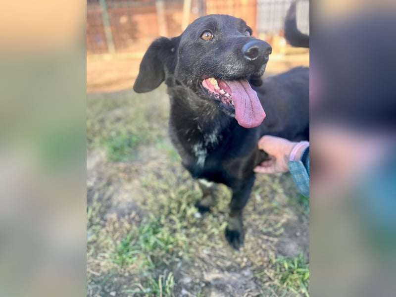 WERNER - ich brauche Liebe, Verständnis und eine geduldige Familie - wer schenkt mir sein Herz?