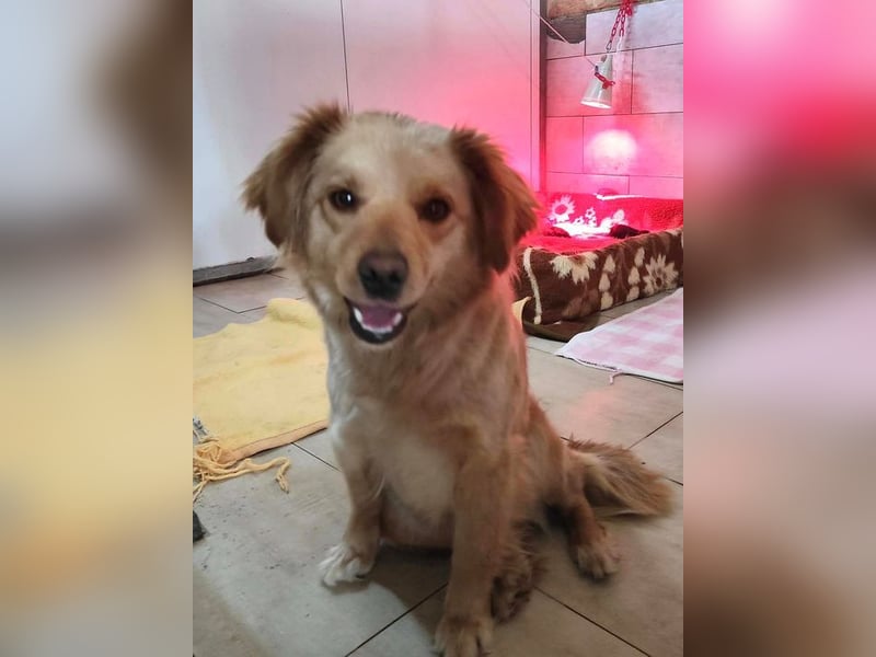 FEE - die süße Zaubermaus freut sich auf ein tolles Für-Immer Zuhause!