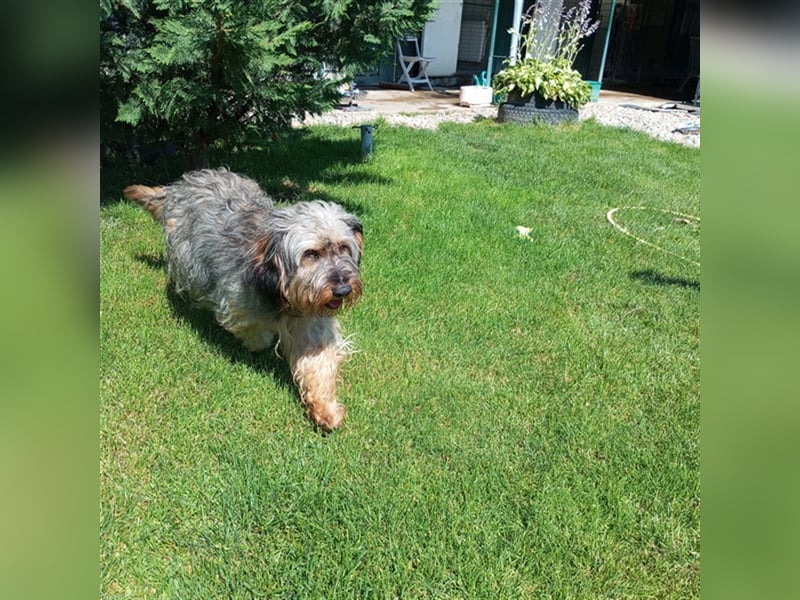 Strubbel - Ankommen und wohl fühlen, wer erfüllt mir diesen Traum