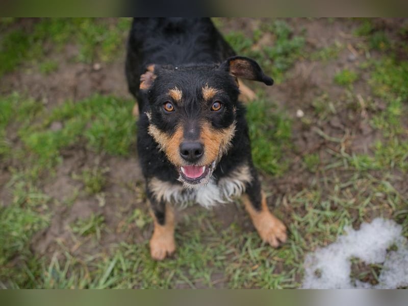 JETTE - schenkst DU mir dein Herz und ein tolles Zuhause?