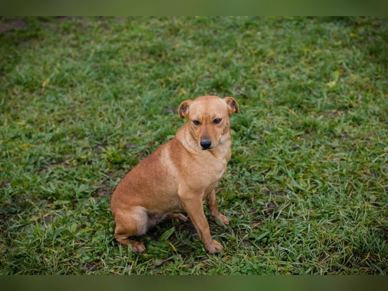 SABRINA - ich bin bereit für meine Menschen!