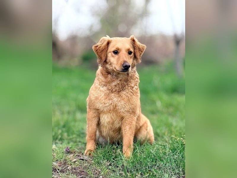 TIANA - ich freue mich auf viele glückliche Stunden mit meinen Menschen!