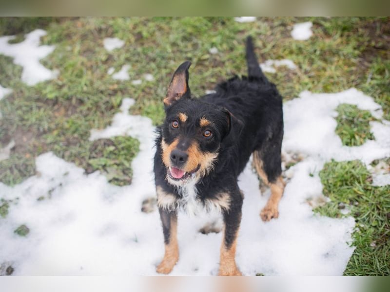 JETTE - schenkst DU mir dein Herz und ein tolles Zuhause?