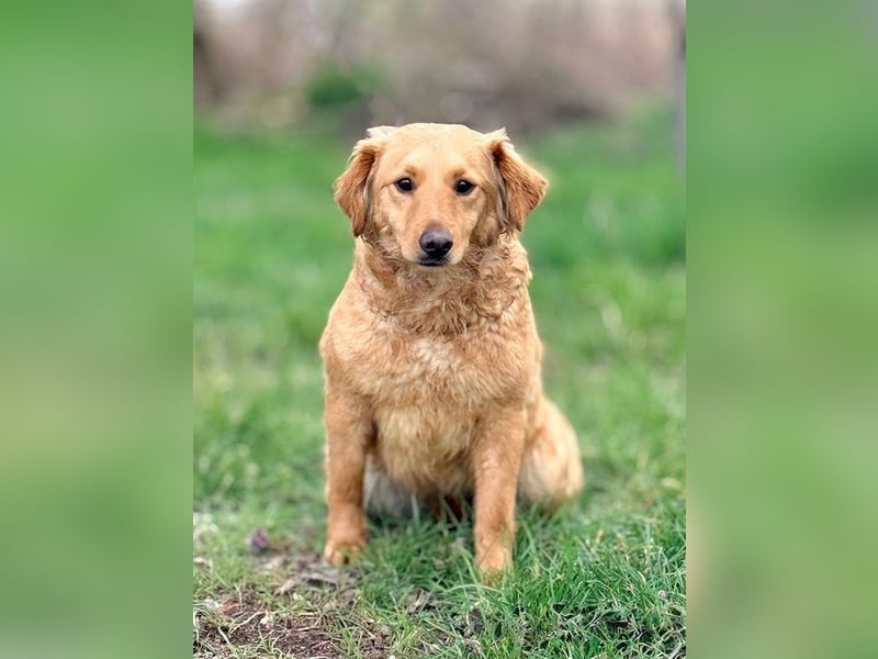 TIANA - ich freue mich auf viele glückliche Stunden mit meinen Menschen!