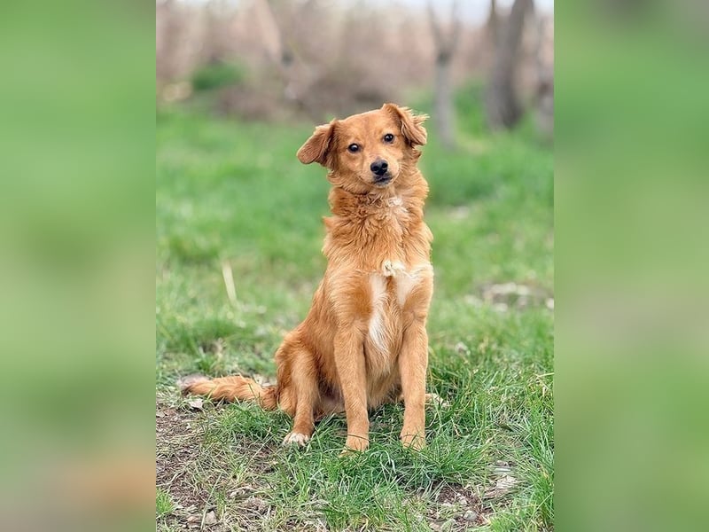 JOHN - ich liebe die Nähe zu Menschen und freue mich auf gemeinsame Abenteuer!