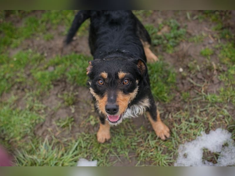 JETTE - schenkst DU mir dein Herz und ein tolles Zuhause?