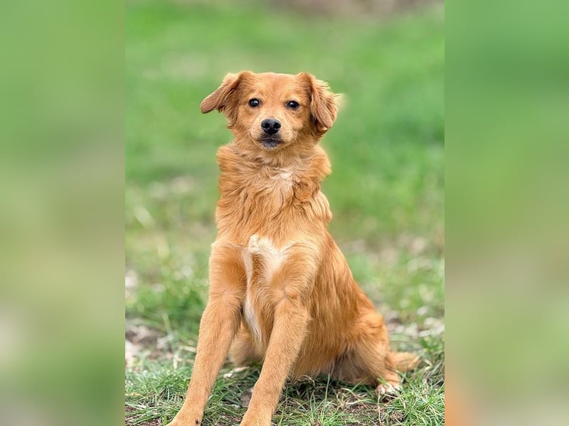 JOHN - ich liebe die Nähe zu Menschen und freue mich auf gemeinsame Abenteuer!