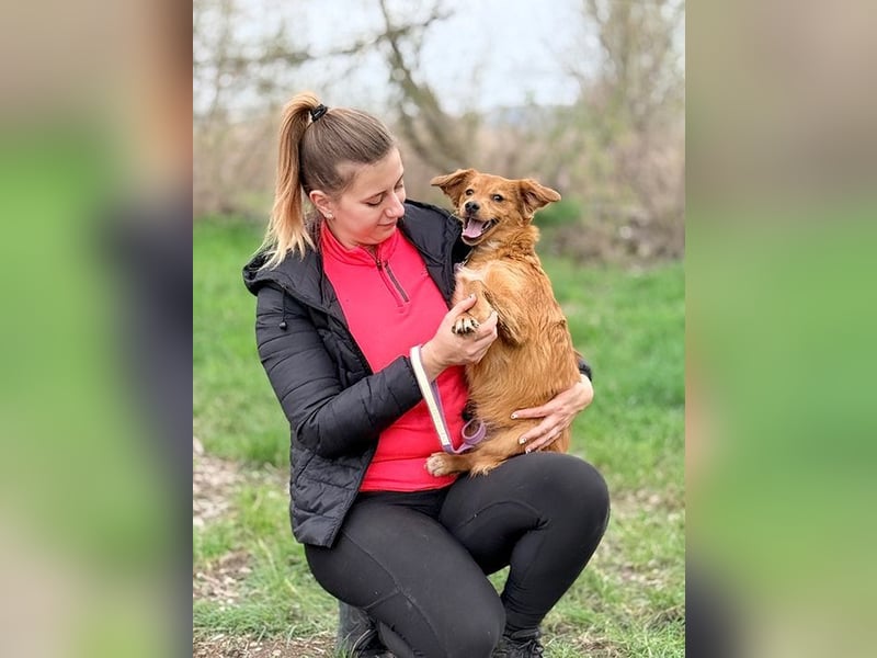 JOHN - ich liebe die Nähe zu Menschen und freue mich auf gemeinsame Abenteuer!