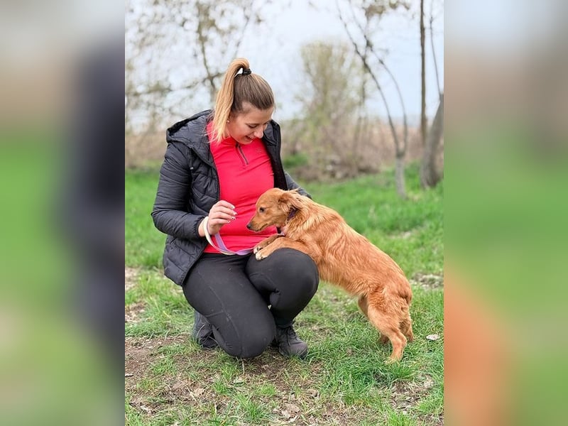 JOHN - ich liebe die Nähe zu Menschen und freue mich auf gemeinsame Abenteuer!