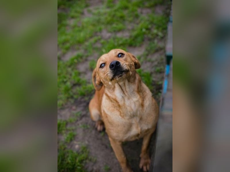 SABRINA - ich bin bereit für meine Menschen!