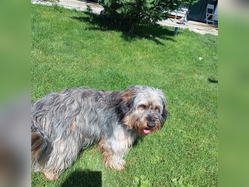 Strubbel - Ankommen und wohl fühlen, wer erfüllt mir diesen Traum