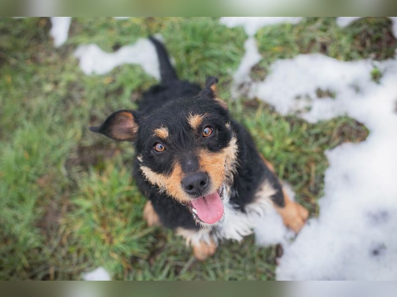 JETTE - schenkst DU mir dein Herz und ein tolles Zuhause?