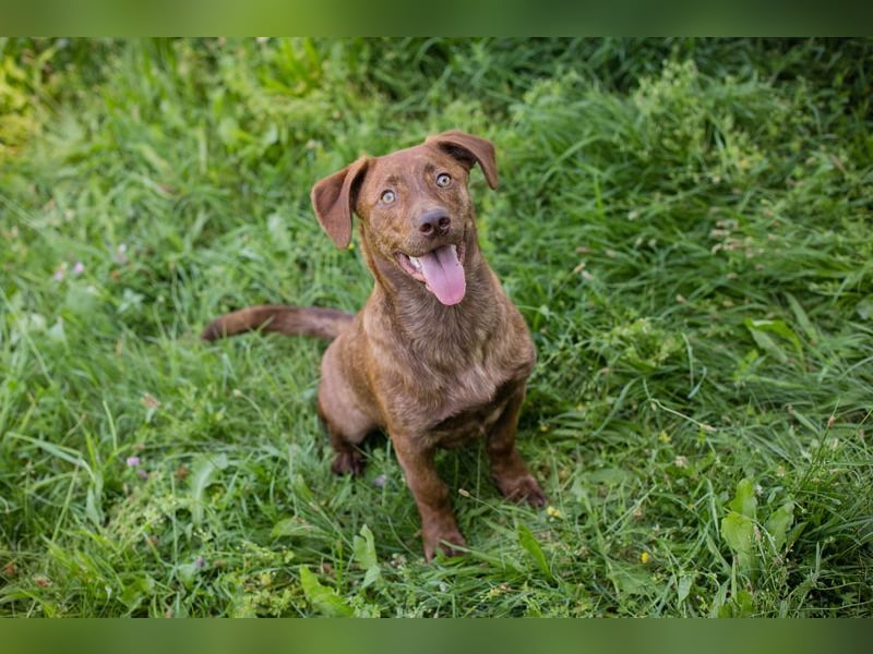 MONTY - der freundliche, fröhliche kleine Mann freut sich auf tolle Abenteuer!