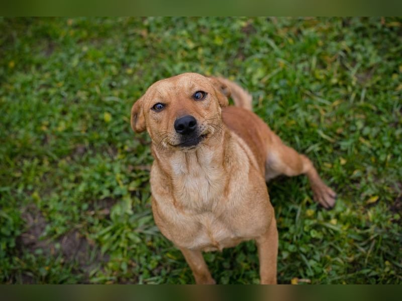 SABRINA - ich bin bereit für meine Menschen!