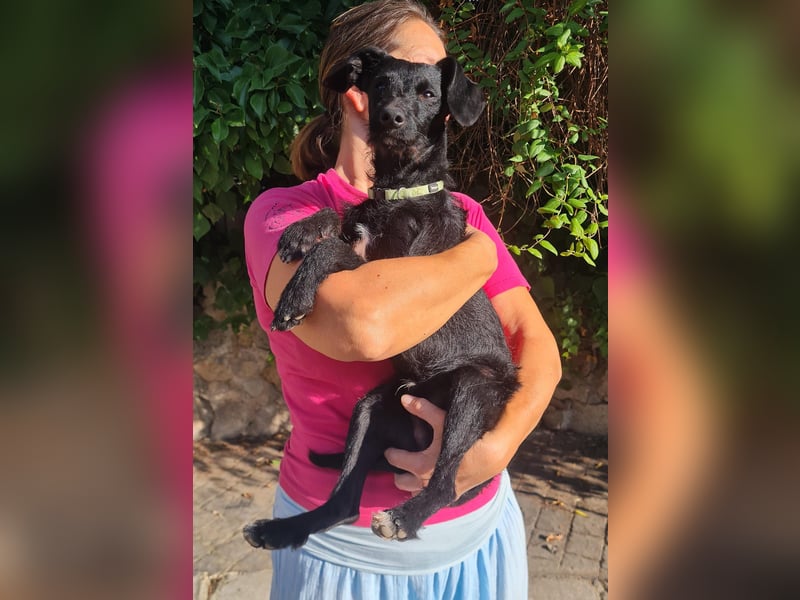 Bulnes - fröhlicher Teenager sucht Zuhause