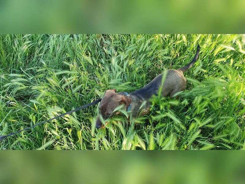 Egon sucht eine liebevolle Familie