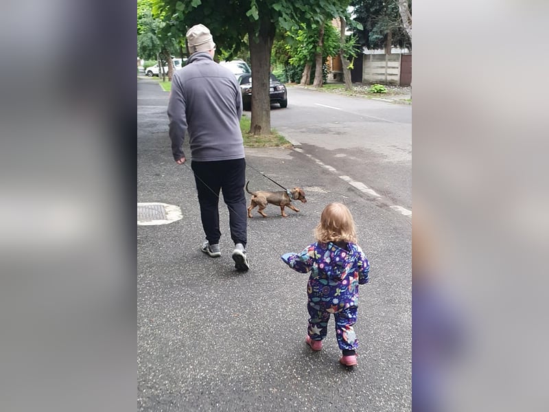 Egon sucht eine liebevolle Familie