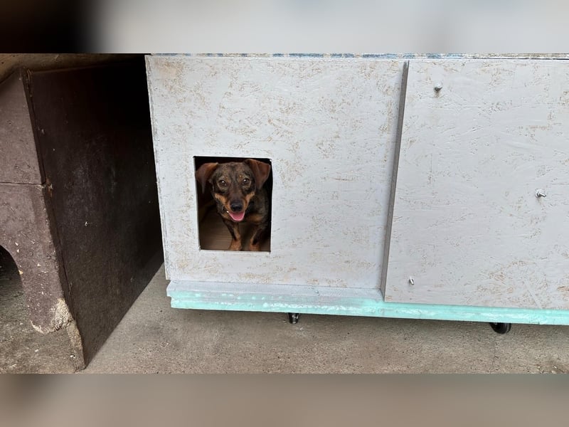 Egon sucht eine liebevolle Familie