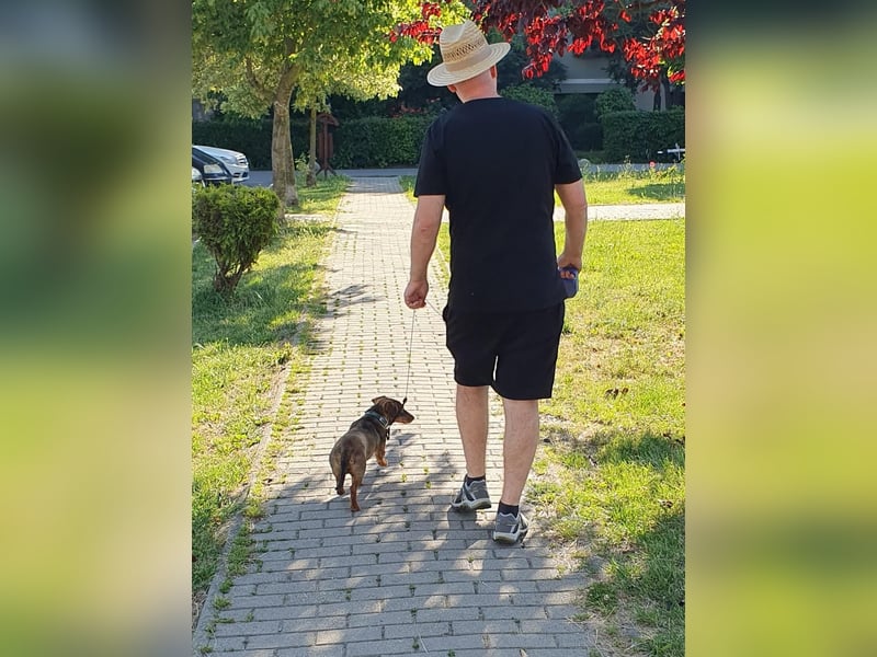 Egon sucht eine liebevolle Familie