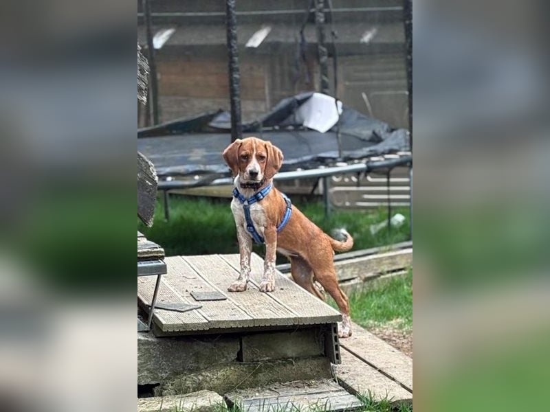 Unsere Zaubermaus Kathi wartet in 94258 Frauenau auf Besuch!