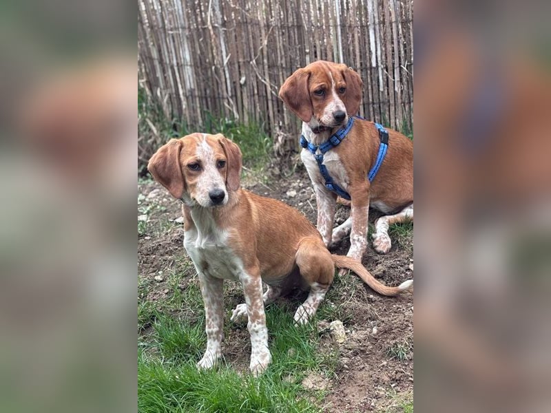 Unsere Zaubermaus Kathi wartet in 94258 Frauenau auf Besuch!