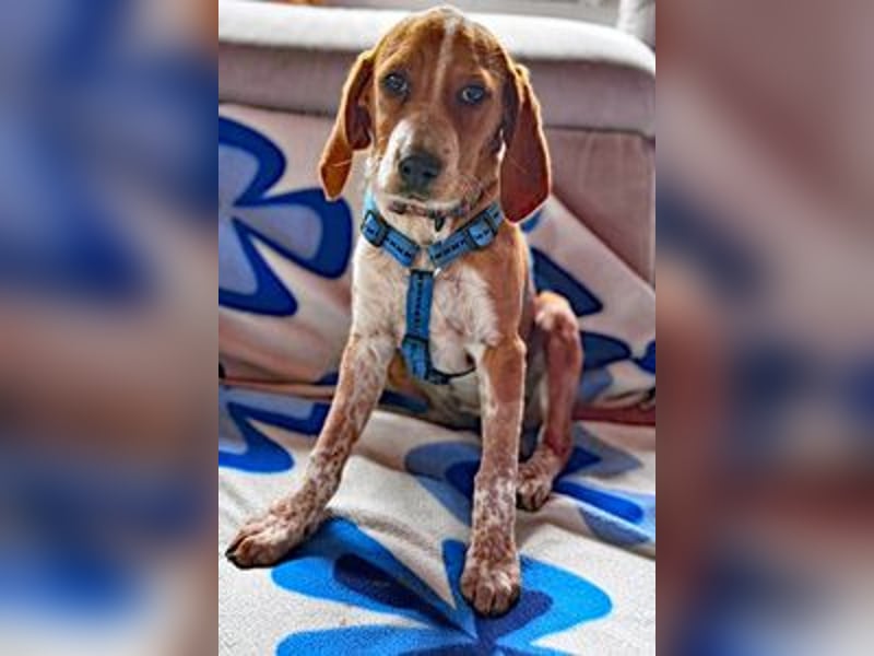 Unsere Zaubermaus Kathi wartet in 94258 Frauenau auf Besuch!