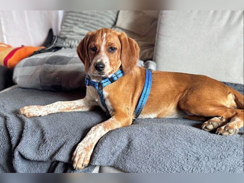 Unsere Zaubermaus Kathi wartet in 94258 Frauenau auf Besuch!