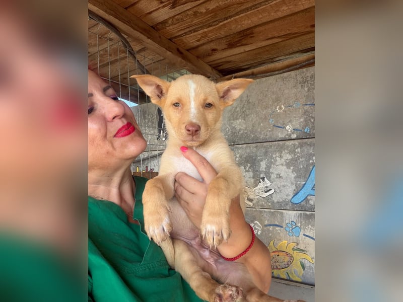  Boris – aus dem Schacht direkt ins Herz ❤️