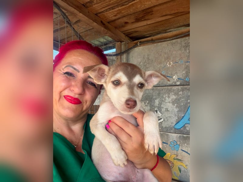 Betsy möchte endlich ankommen!