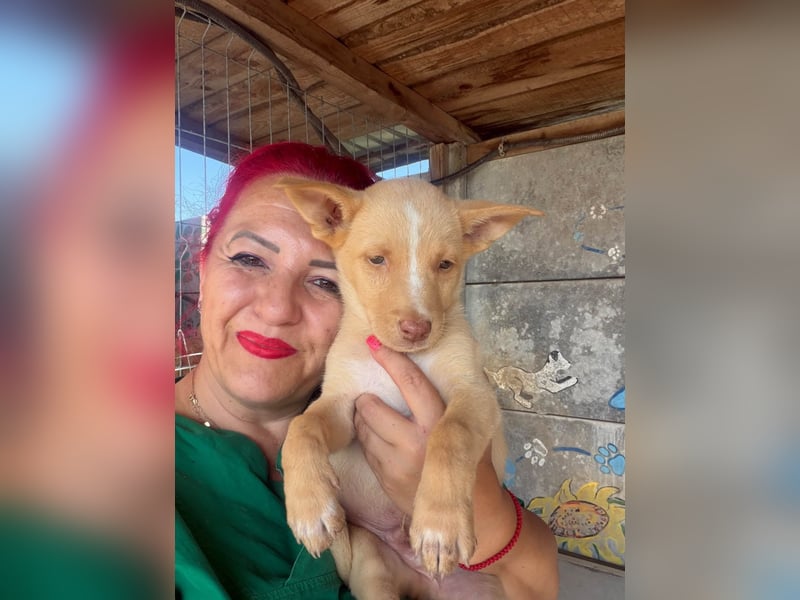  Boris – aus dem Schacht direkt ins Herz ❤️