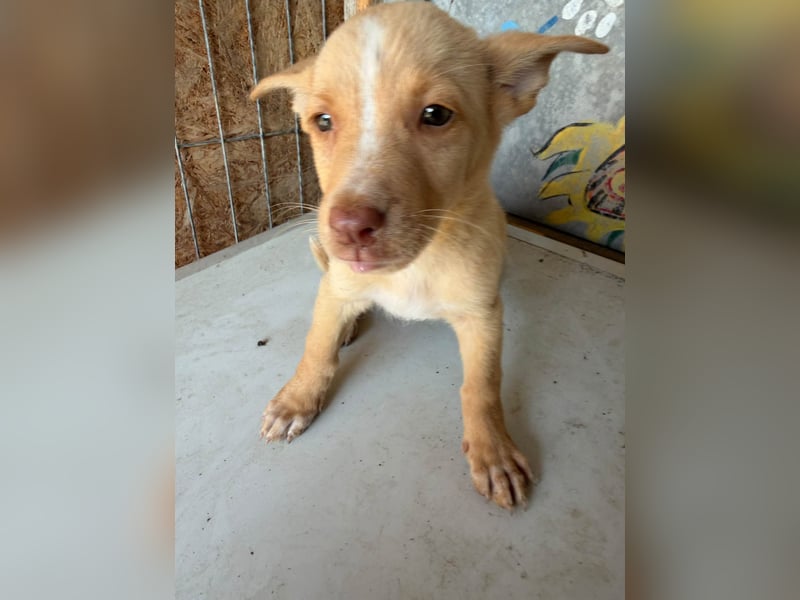 Boris – aus dem Schacht direkt ins Herz ❤️