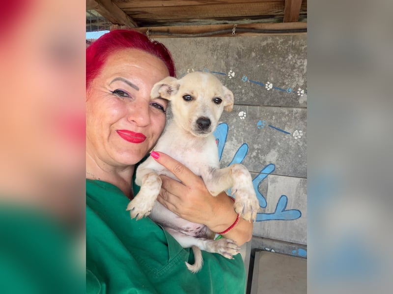  Betty Bacley – bereit für den Start in ein neues Leben 