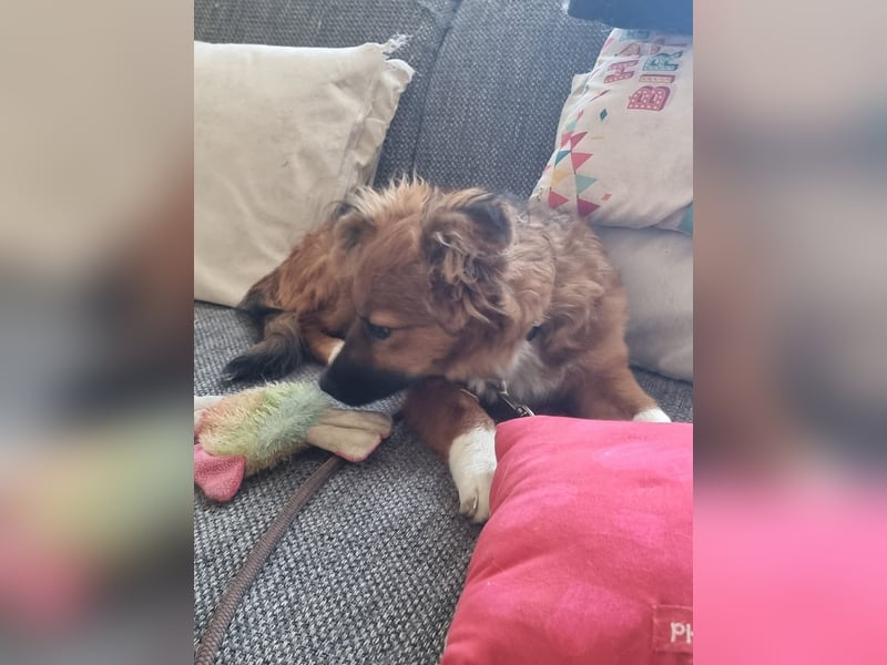 Ronny – ein kleiner Kämpfer auf dem Weg ins Vertrauen