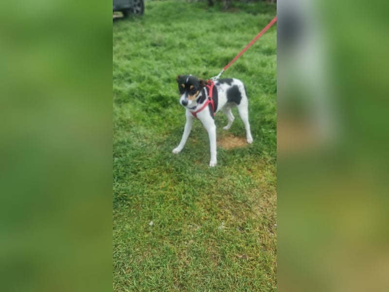 Mini-Mädchen Mandy sucht ihre Familie!