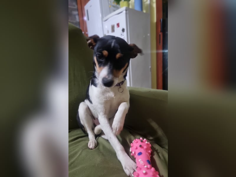 Mini-Mädchen Mandy sucht ihre Familie!