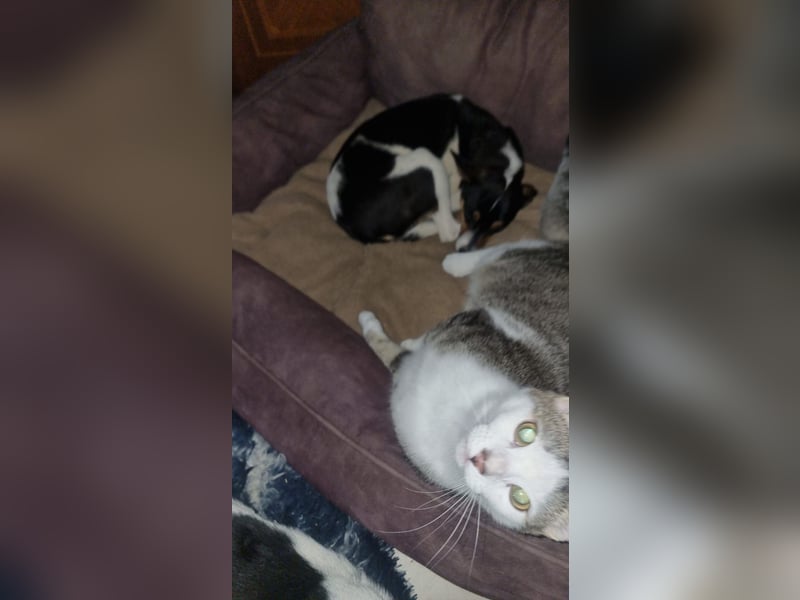 Mini-Mädchen Mandy sucht ihre Familie!