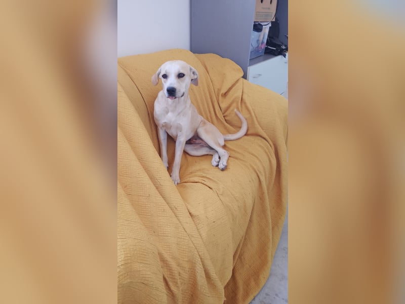Enza - Zufall oder Schicksal?