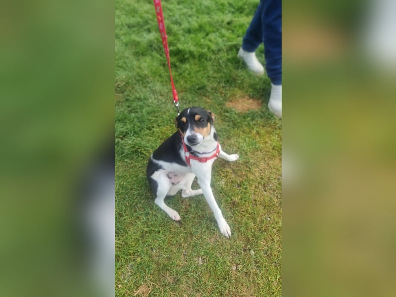 Mini-Mädchen Mandy sucht ihre Familie!