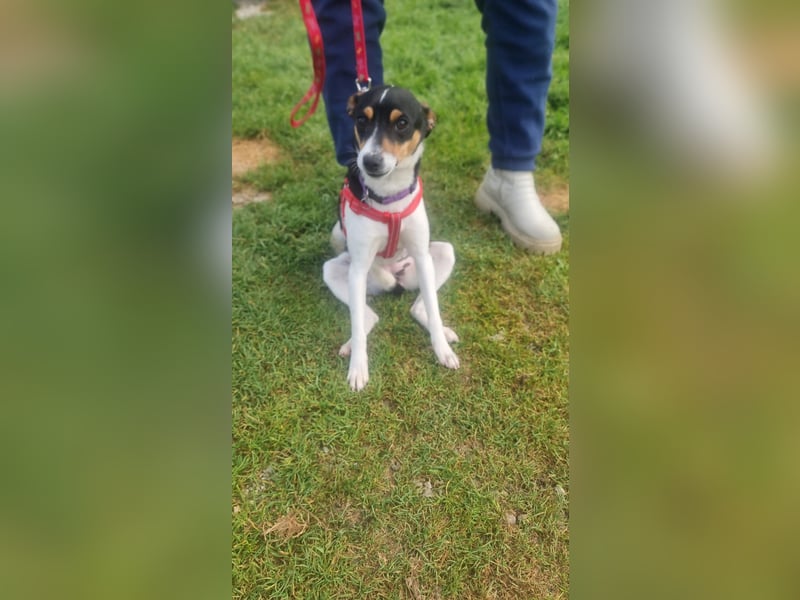 Mini-Mädchen Mandy sucht ihre Familie!