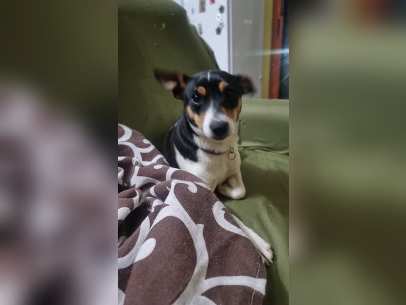 Mini-Mädchen Mandy sucht ihre Familie!