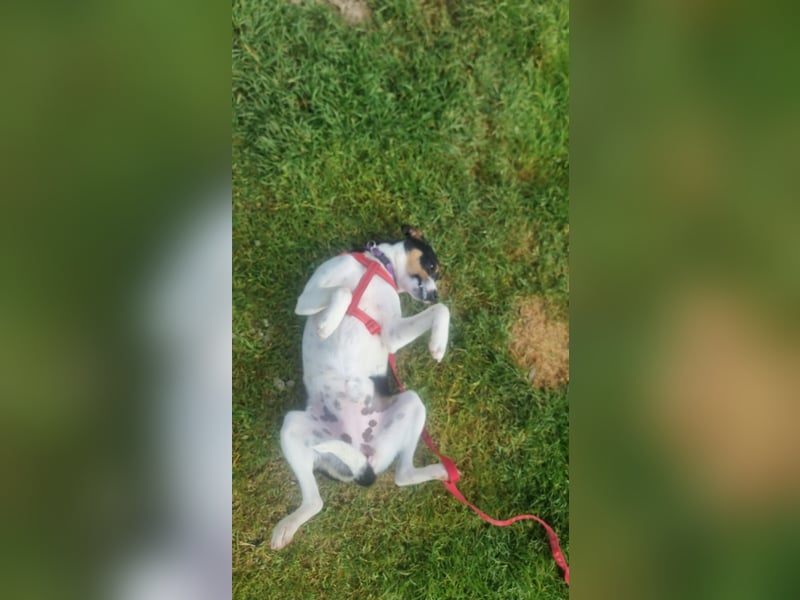 Mini-Mädchen Mandy sucht ihre Familie!