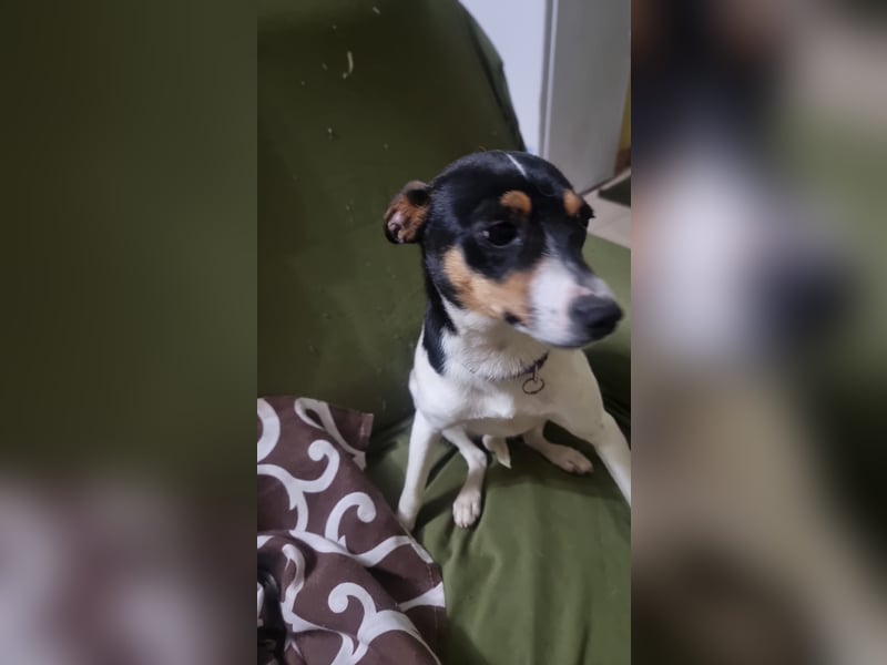 Mini-Mädchen Mandy sucht ihre Familie!